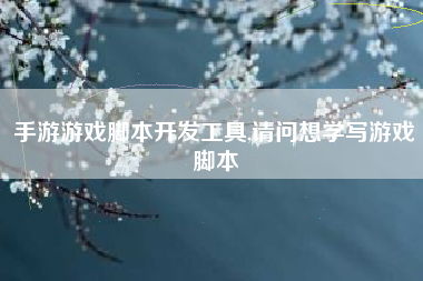 手游游戏脚本开发工具,请问想学写游戏脚本