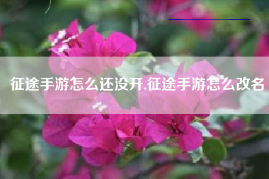 征途手游怎么还没开,征途手游怎么改名