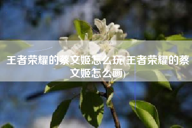 王者荣耀的蔡文姬怎么玩(王者荣耀的蔡文姬怎么画)
