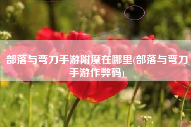 部落与弯刀手游附魔在哪里(部落与弯刀手游作弊码)