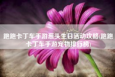 跑跑卡丁车手游葱头生日活动攻略(跑跑卡丁车手游宠物排行榜)