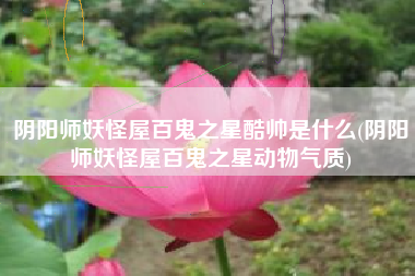 阴阳师妖怪屋百鬼之星酷帅是什么(阴阳师妖怪屋百鬼之星动物气质)