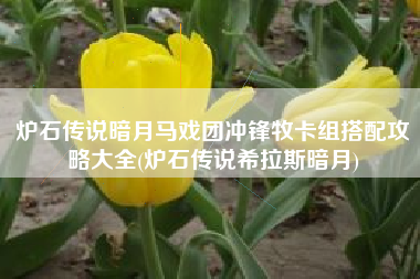 炉石传说暗月马戏团冲锋牧卡组搭配攻略大全(炉石传说希拉斯暗月)
