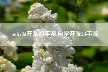 unity3d开发的手游,自学开发2d手游