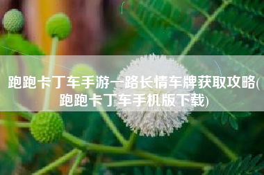 跑跑卡丁车手游一路长情车牌获取攻略(跑跑卡丁车手机版下载)