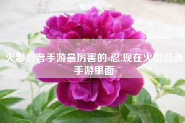 火影忍者手游最厉害的s忍,现在火影忍者手游里面