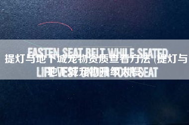 提灯与地下城宠物资质查看方法 (提灯与地下城宠物升级太慢)
