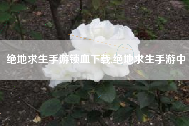 绝地求生手游锁血下载,绝地求生手游中