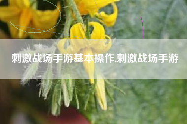刺激战场手游基本操作,刺激战场手游