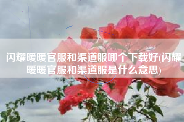 闪耀暖暖官服和渠道服哪个下载好(闪耀暖暖官服和渠道服是什么意思)