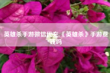 英雄杀手游微信代充,《英雄杀》手游费钱吗