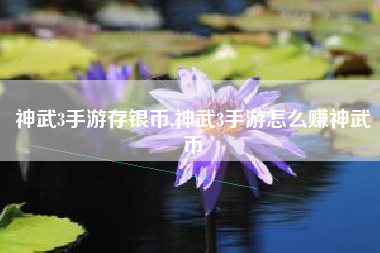 神武3手游存银币,神武3手游怎么赚神武币