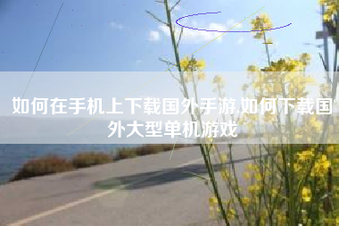 如何在手机上下载国外手游,如何下载国外大型单机游戏