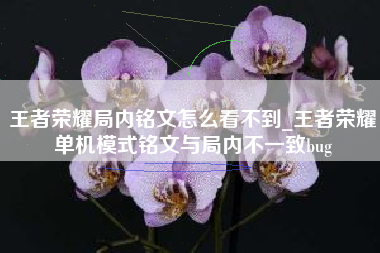 王者荣耀局内铭文怎么看不到_王者荣耀单机模式铭文与局内不一致bug