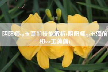 阴阳师sp玉藻前技能解析(阴阳师sp玉藻前和ssr玉藻前)