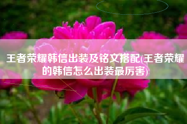 王者荣耀韩信出装及铭文搭配(王者荣耀的韩信怎么出装最厉害)