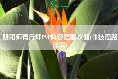 阴阳师青行灯PVP阵容搭配攻略(斗技思路详解)