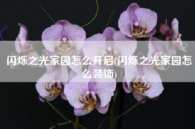 闪烁之光家园怎么开启(闪烁之光家园怎么装饰)