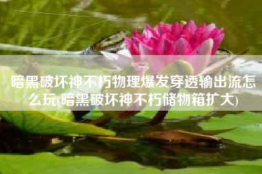 暗黑破坏神不朽物理爆发穿透输出流怎么玩(暗黑破坏神不朽储物箱扩大)
