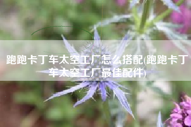 跑跑卡丁车太空工厂怎么搭配(跑跑卡丁车太空工厂最佳配件)