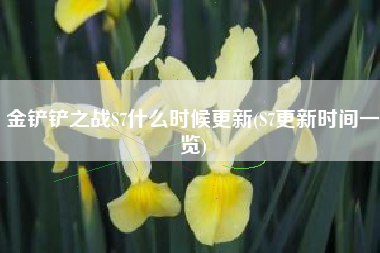 金铲铲之战S7什么时候更新(S7更新时间一览)