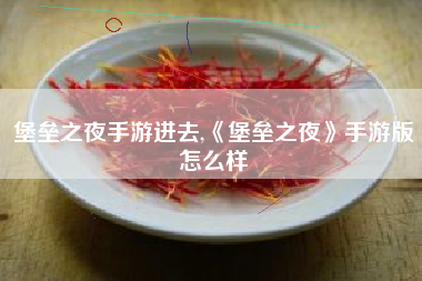 堡垒之夜手游进去,《堡垒之夜》手游版怎么样