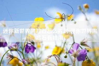 迷你新世界黑晶石怎么弄到(迷你世界黑晶石有啥用)