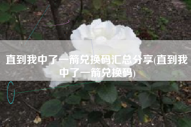 直到我中了一箭兑换码汇总分享(直到我中了一箭兑换码)