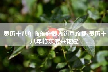 灵历十八年临东府懒人钓鱼攻略(灵历十八年临东府采花贼)