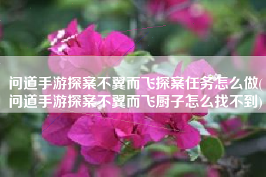 问道手游探案不翼而飞探案任务怎么做(问道手游探案不翼而飞厨子怎么找不到)