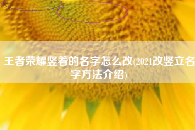 王者荣耀竖着的名字怎么改(2021改竖立名字方法介绍)