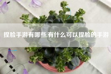 捏脸手游有哪些,有什么可以捏脸的手游