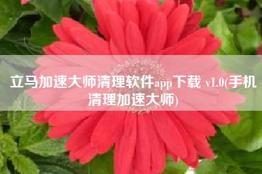 立马加速大师清理软件app下载 v1.0(手机清理加速大师)