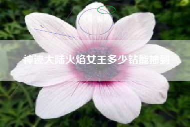 神迹大陆火焰女王多少钻能抽到