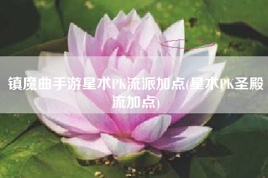 镇魔曲手游星术PK流派加点(星术PK圣殿流加点)