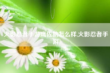 火影忍者手游鹰佐助怎么样,火影忍者手游