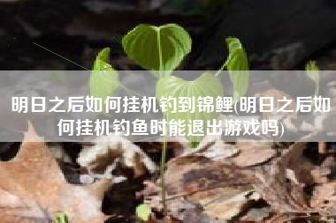 明日之后如何挂机钓到锦鲤(明日之后如何挂机钓鱼时能退出游戏吗)