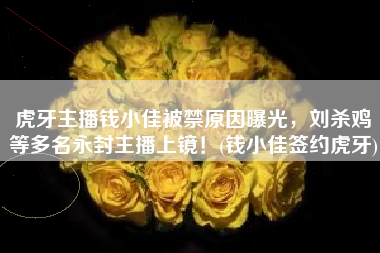 虎牙主播钱小佳被禁原因曝光，刘杀鸡等多名永封主播上镜！(钱小佳签约虎牙)