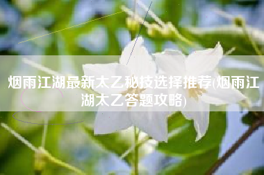 烟雨江湖最新太乙秘技选择推荐(烟雨江湖太乙答题攻略)