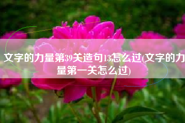 文字的力量第39关造句13怎么过(文字的力量第一关怎么过)
