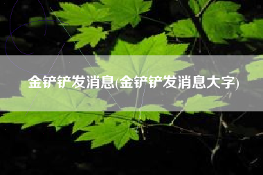 金铲铲发消息(金铲铲发消息大字)