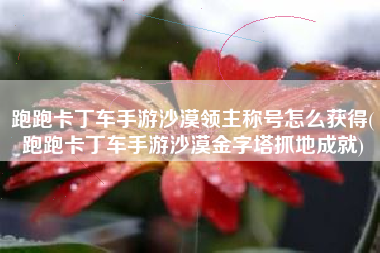 跑跑卡丁车手游沙漠领主称号怎么获得(跑跑卡丁车手游沙漠金字塔抓地成就)