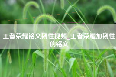 王者荣耀铭文韧性视频_王者荣耀加韧性的铭文
