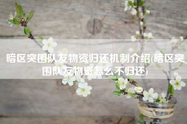 暗区突围队友物资归还机制介绍(暗区突围队友物资怎么不归还)