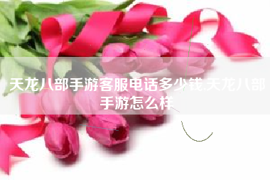 天龙八部手游客服电话多少钱,天龙八部手游怎么样