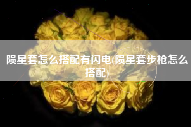 陨星套怎么搭配有闪电(陨星套步枪怎么搭配)