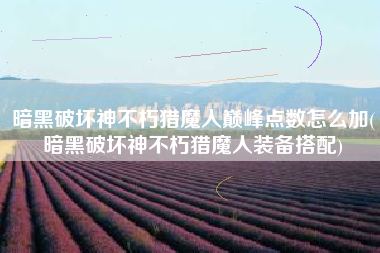 暗黑破坏神不朽猎魔人巅峰点数怎么加(暗黑破坏神不朽猎魔人装备搭配)