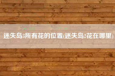 迷失岛3所有花的位置(迷失岛2花在哪里)