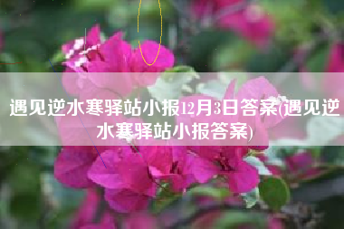 遇见逆水寒驿站小报12月3日答案(遇见逆水寒驿站小报答案)
