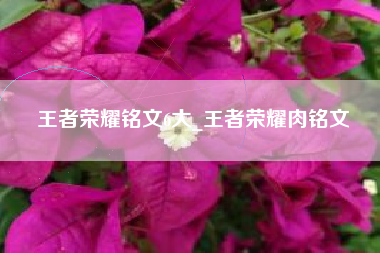 王者荣耀铭文6大_王者荣耀肉铭文